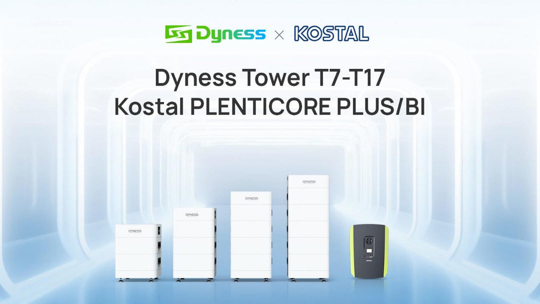 A Notification Letter of Matching Between Dyness and Kostal Inverters