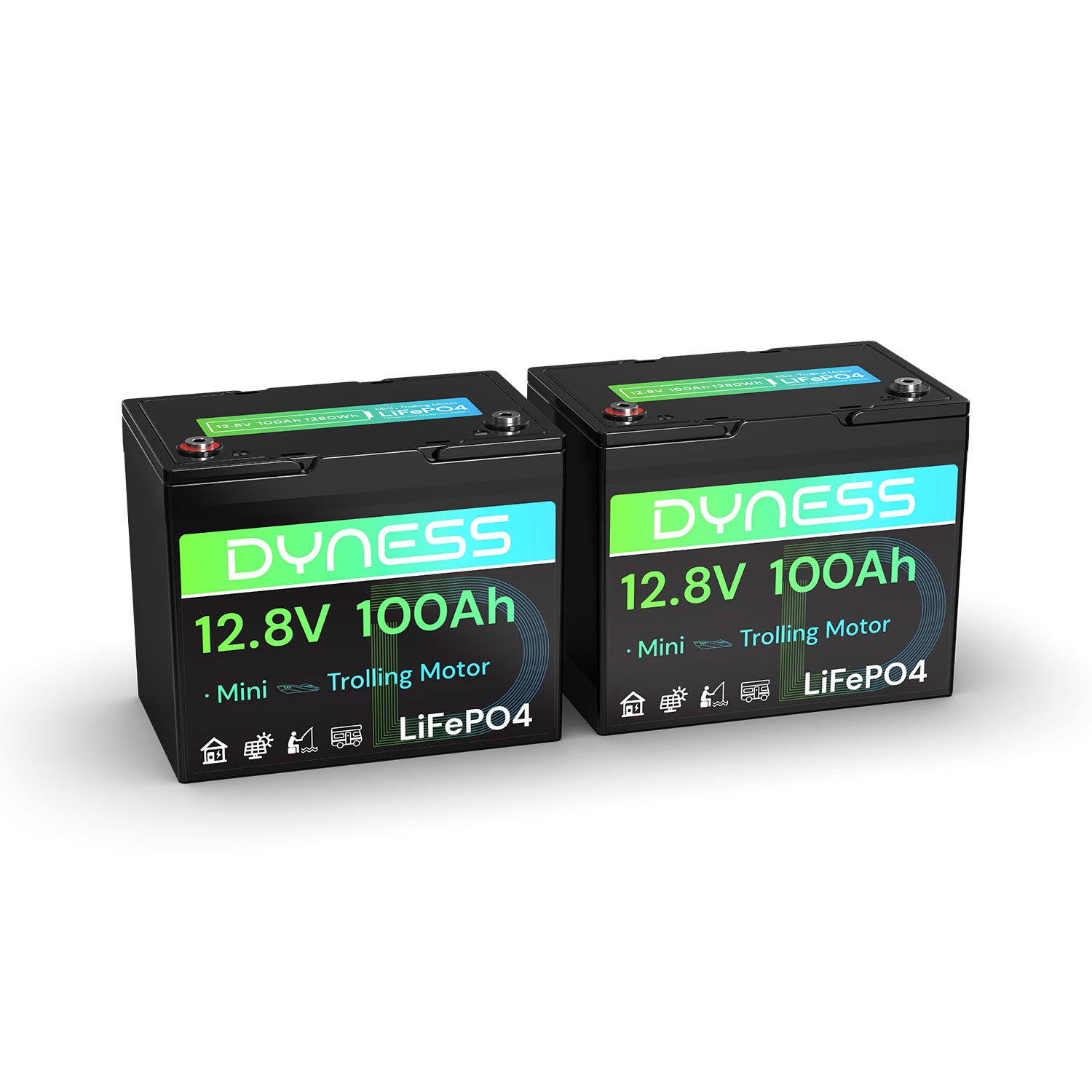 Dyness 12V 100Ah LiFePO4 Battery Dyness 12V 100Ah LiFePO4 Battery