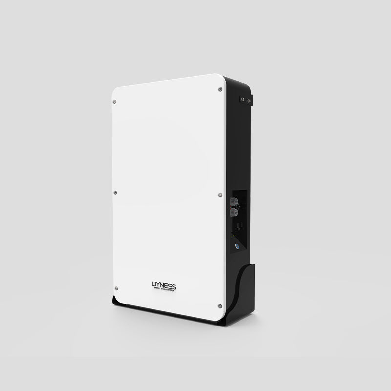 Dyness Powerbox-US