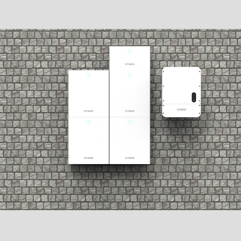 Dyness Orion 14.9 kWh Module home back up system